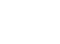 Layer_1